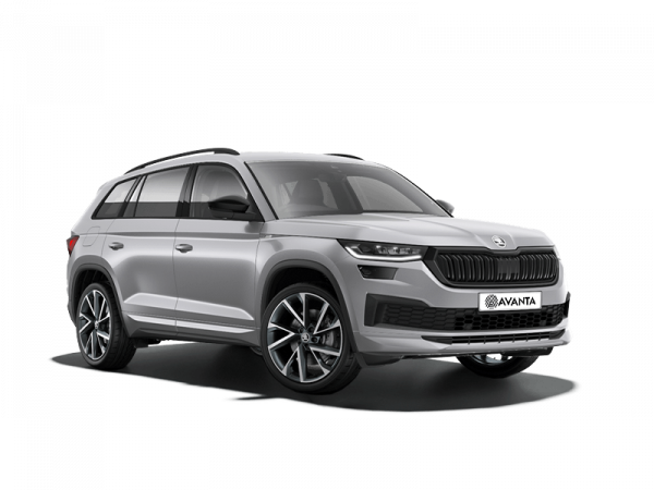 Skoda Kodiaq NEW Серебристый
